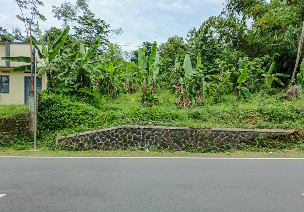 TANAH DI KAB. TASIKMALAYA - WOFF761-2 - foto utama
